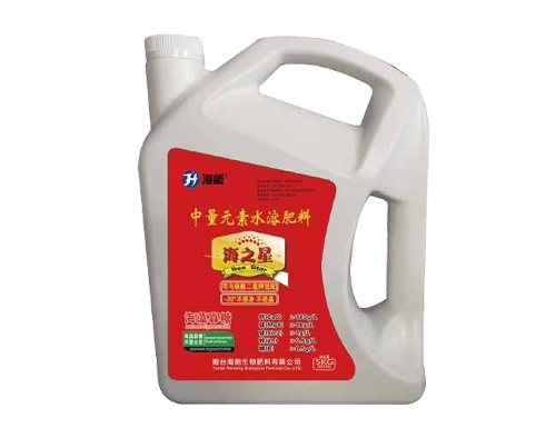 水蜜桃视频在线播放海之星