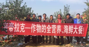 蘋果樹12月管理技術要點！抓緊時間看